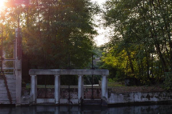 Sonbahar kavak ormanda İtalya