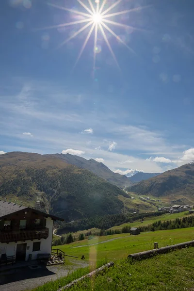 Nyári Fotó Csoportja Livigno Völgyre Képekkel Tóra Hegyekre — Stock Fotó