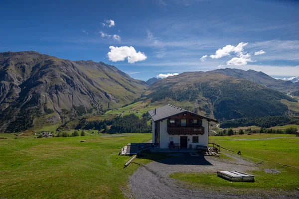 Nyári Fotó Csoportja Livigno Völgyre Képekkel Tóra Hegyekre — Stock Fotó