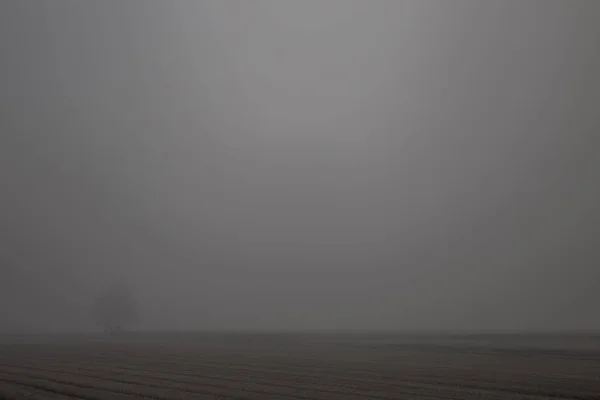 Campos Tirados Baixo Outono Com Nevoeiro Pouca Visibilidade — Fotografia de Stock