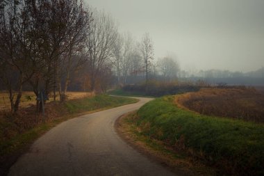 Asfalt ülkede yol sis ve kötü görüş ile sonbahar