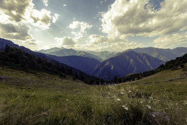 Yaz aylarında güneşli bir gün Bielmonte bakış açısı panoramik görünümü