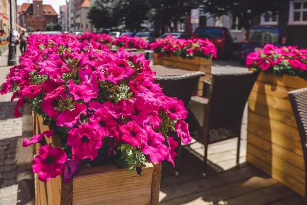 Cafe terrace with flowers in small European city at sunny summer day