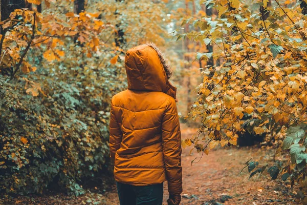 Caminhando Parque Outono Outono Menina Para Trás Assistindo Natureza — Fotografia de Stock