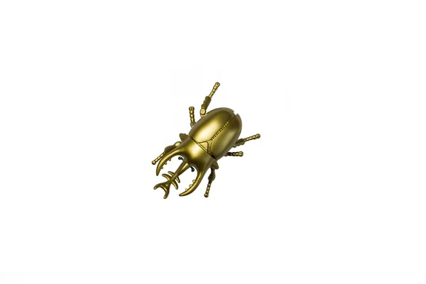Scarab bug emas pada latar belakang putih — Stok Foto