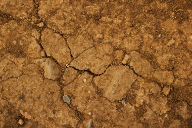 Kuraklık, çatlaklar ile kuru zemin