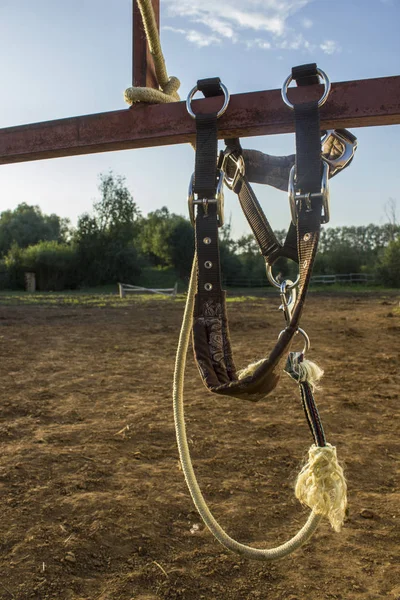 Hästsele hängande på staketet av en hästgård — Stockfoto