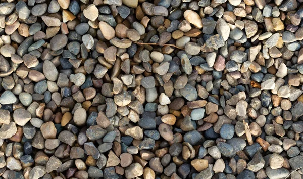 Abstract background and texture of colorful pebble in the garden — Stock Photo, Image