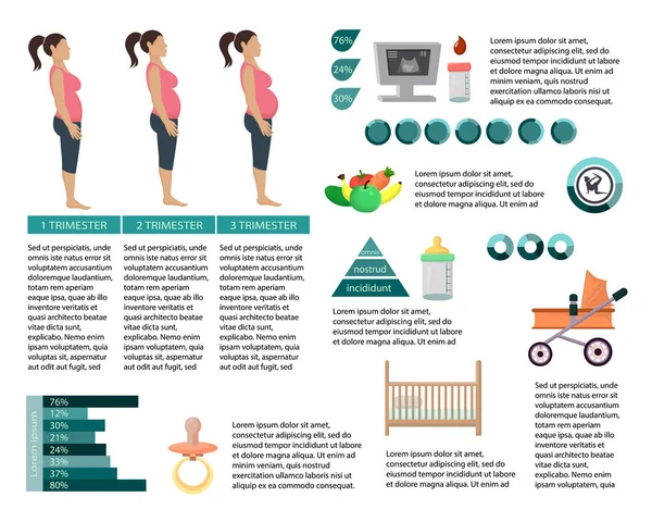 Infografías de mujeres embarazadas. Ilustración vectorial . — Archivo Imágenes Vectoriales