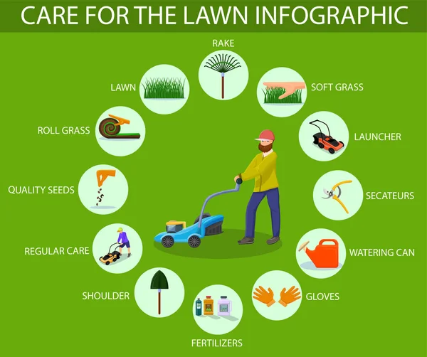 Çim Infographic bakımı. Vektör çizim.
