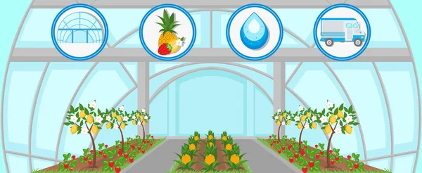 温室で収穫。ベクトル フラット図 — ストックベクタ