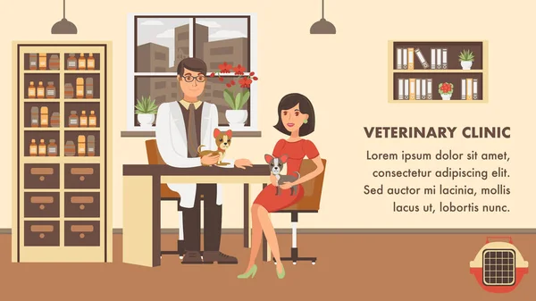 Modèle vectoriel de couleur de bannière de contrôle vétérinaire — Image vectorielle