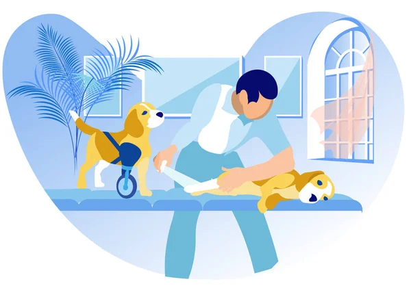 Medical Assistance for Animals with Disabilities — Stock Vector