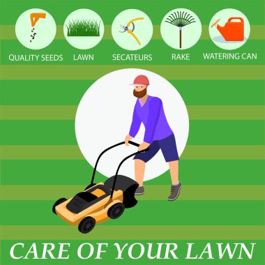 Infographics Çim Karikatür Yazılı Bakım.