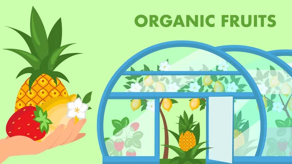 Organische Früchte Web-Banner flache Vektorvorlage — Stockvektor