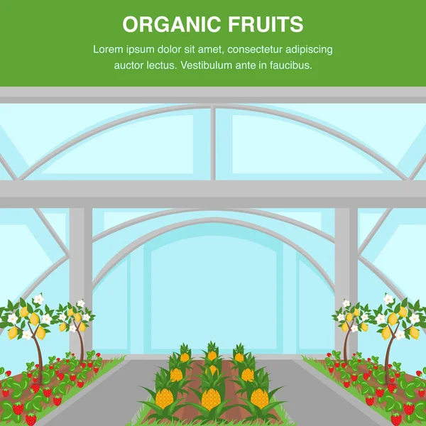 Organic Fruits Indoor Cultivation Poster Template