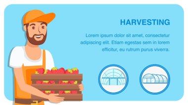 Berry Hasat Web Banner Düz Vektör Şablonu