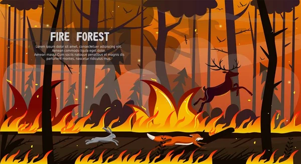 Incendio forestal imágenes de stock de arte vectorial | Depositphotos