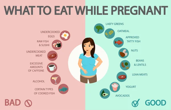 Embarazo Saludable, opciones de alimentación poco saludables Banner — Archivo Imágenes Vectoriales