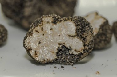 Ön planda siyah trüf detayı