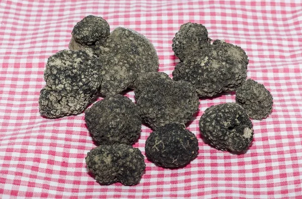 Black Truffle Table — Stock Photo, Image