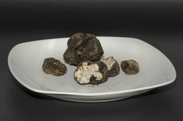 Tartufo Nero Nel Piatto — Foto Stock