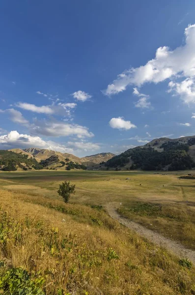 Pohled Údolí Horách Letní Aktivitou — Stock fotografie