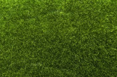 Üst görünüm yeşil çim arka plan