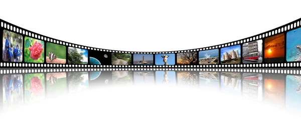 İçinde çeşitli fotoğraflar olan bir çerçeve.