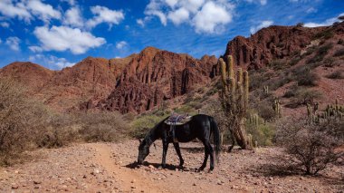 A horse takes a break during a riding tour of the Quebrada Palmira & Canyon del Inca, near Tupiza, Bolivia clipart