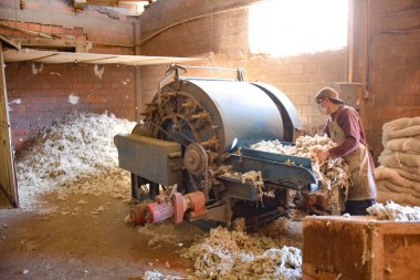 Sucre, Bolivya Sombreros Sucre fabrikasında şapka yapımında kullanılmak koyun yün bir işçi işler