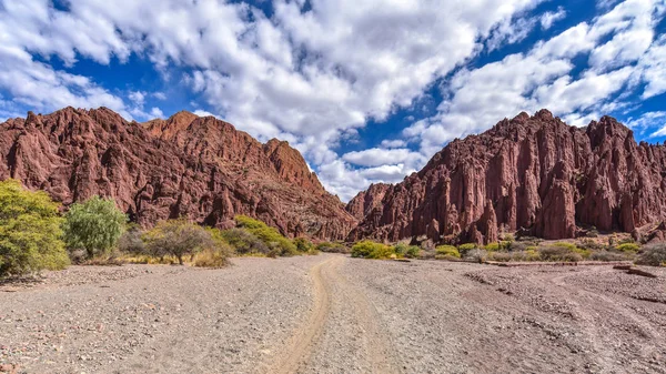 Prachtige Woestijnlandschappen Canyon Del Inca Quebrada Palmira Buurt Van Tupiza — Stockfoto