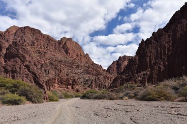 Tupiza, Bolivya yakınındaki Canyon del Inca ve Quebrada Palmira çarpıcı çöl manzaraları