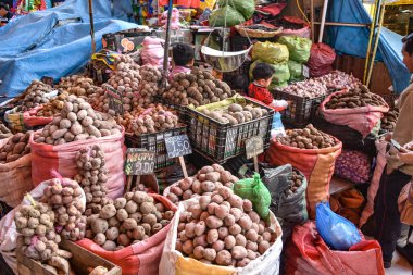 Arequipa, Peru - 7 Ekim 2018: Patates çeşidinin Satılık merkezi piyasada, Mercado San Camilo