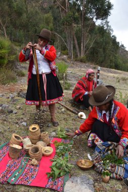 Kutsal Vadi, Cusco, Peru - Janac Chuquibamba 'nın Yachaq bölgesinde Achupalla bitkileriyle yerli kadın