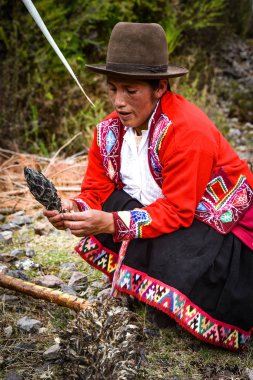 Kutsal Vadi, Cusco, Peru - Janac Chuquibamba 'nın Yachaq bölgesinde Achupalla bitkileriyle yerli kadın
