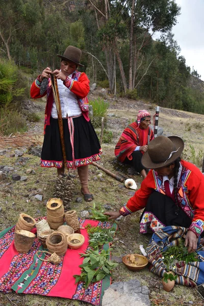 Vale Sagrado, Cusco, Peru - Senhora Quechua indígena com plantas Achupalla na comunidade Yachaq de Janac Chuquibamba — Fotografia de Stock