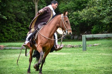 Hacienda Huayoccari, Cusco, Peru - Peru Paso At Gösterisi