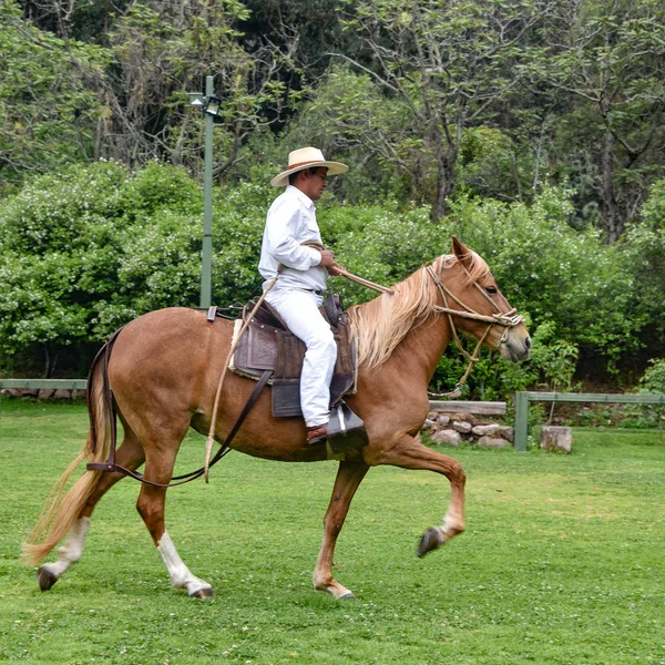 Hacienda Huayoccari, Cusco, Peru - Peruaanse Paso Paardendemonstratie — Stockfoto