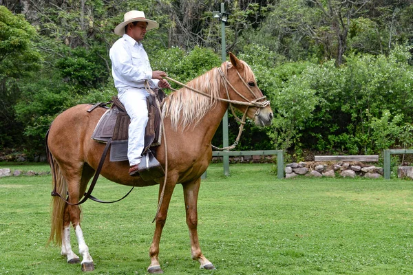 Hacienda Huayoccari, Cusco, Peru - Peruansk Paso Horse demonstration — Stockfoto