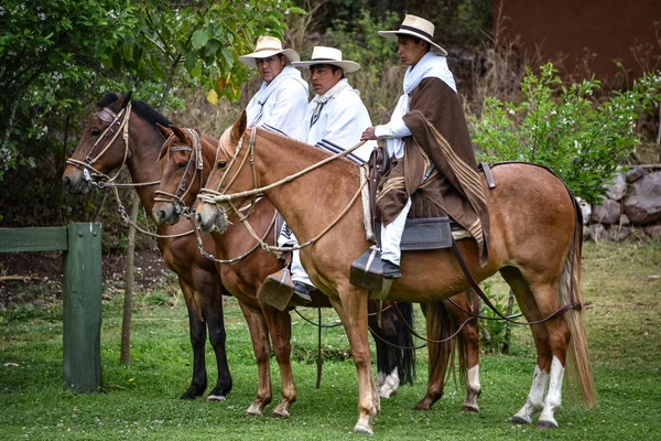 Hacienda Huayocカリ,クスコ,ペルー – ペルー馬のデモ — ストック写真