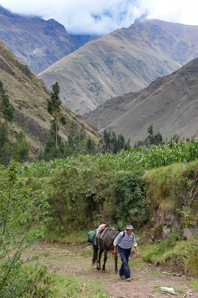 Antigos Canais Irrigação Que Transportam Água Glacial Através Vale Sagrado — Fotografia de Stock