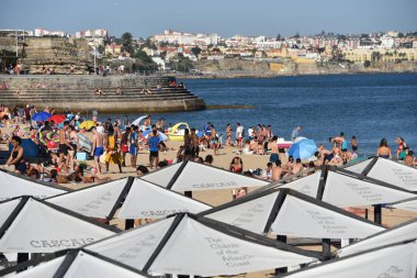 Portekiz 'in Cascais tatil köyündeki plajda güneşlenen şempanzeler ve dinlenme yerleri.