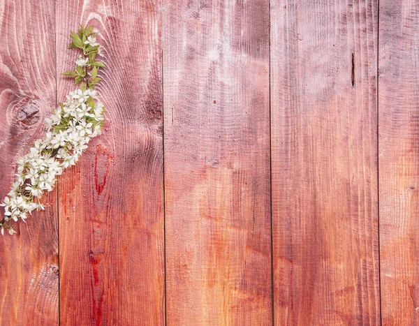 Flores Primavera Sobre Fondo Mesa Madera Flor Ciruelo Vista Superior Imagen De Stock