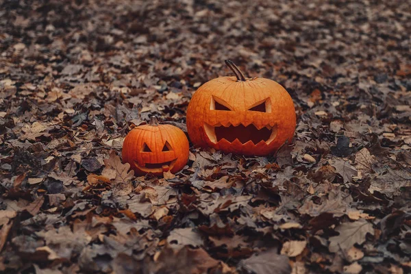 Halloween Pumpkin. 2 pumpkins. Good and evil pumpkin. Autumn and fallen leaves.