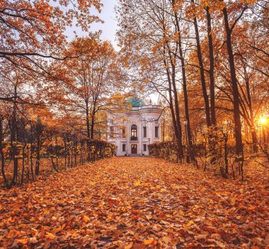 Sonbahar parkta. Manor Kuskovo. Düşen yapraklar. Sunny sonbahar günü. Rusya, Moskova. 17 Ekim 2018.
