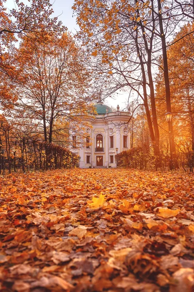 Sonbahar parkta. Manor Kuskovo. Düşen yapraklar. Sunny sonbahar günü. Rusya, Moskova. 17 Ekim 2018.