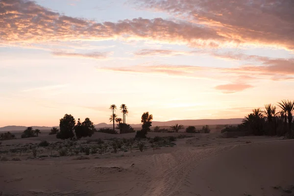 Gele Zonsondergang Sahara Marokko Met Perfecte Pastel Kleuren — Stockfoto