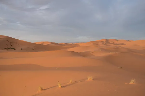 Beautiful Sahara Desert Morocco — Stock Photo, Image