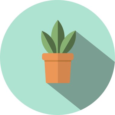 Saksı houseplant nane yeşili arka plan üzerinde izole ile